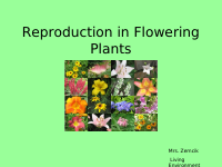 Reproduction in Flowering Plants.pdf